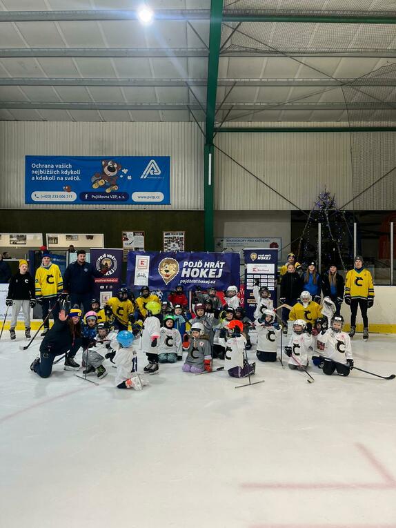 Pojď hrát hokej leden 2026 11