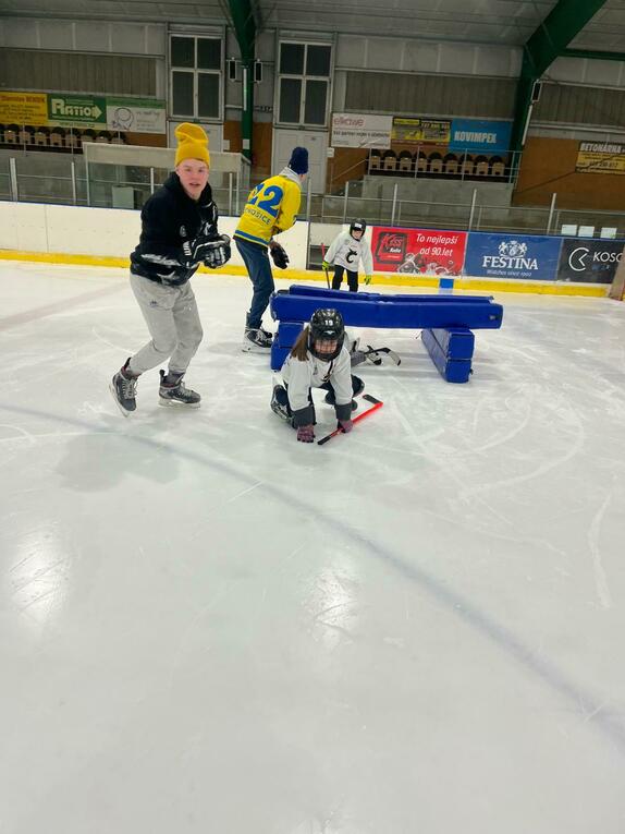 Pojď hrát hokej leden 2026 17