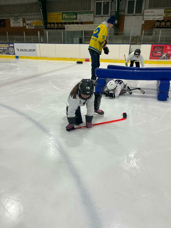 Pojď hrát hokej leden 2026 18