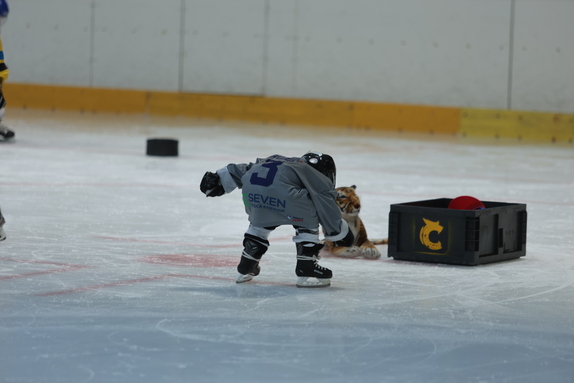 Pojď hrát hokej 2024 - září 11